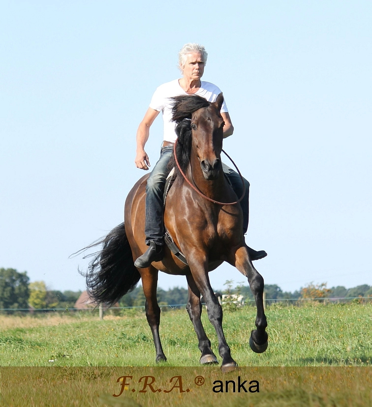 Ako vybrať: Bezzubadlové uzdenie od F.R.A.®