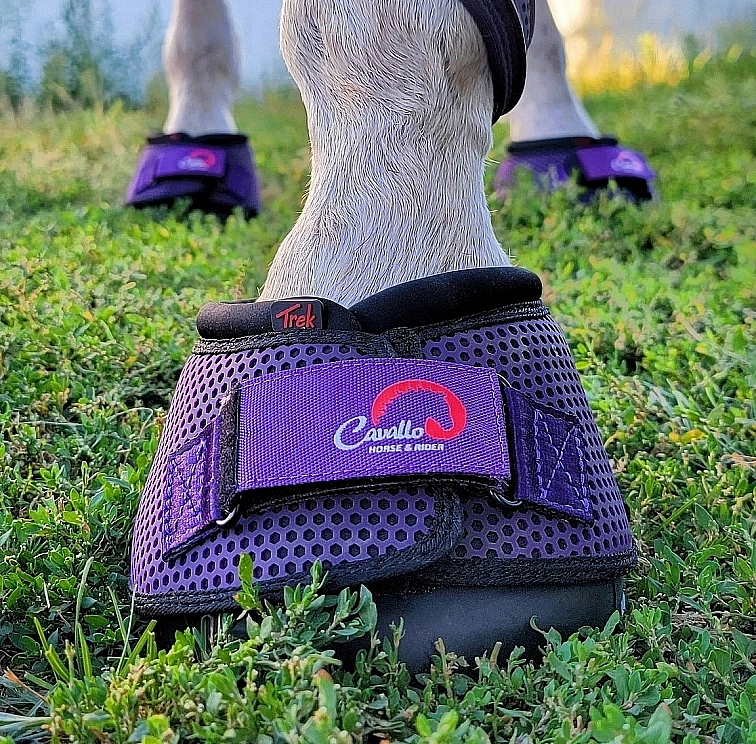 Jak vybrat: boty pro koně F.R.A. Cavallo