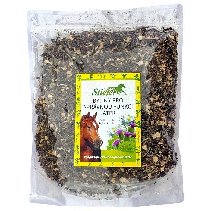 Jarná starostlivosť o kone: Ako podporiť zdravie počas výmeny srsti