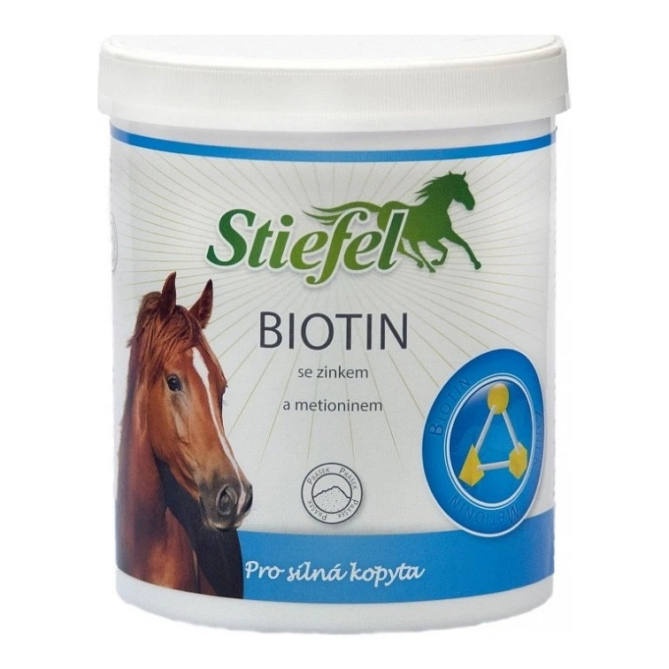 Jarná starostlivosť o kone: Ako podporiť zdravie počas výmeny srsti