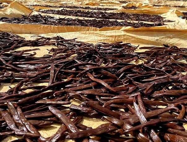 Mletá vanilka Bourbon Madagaskar