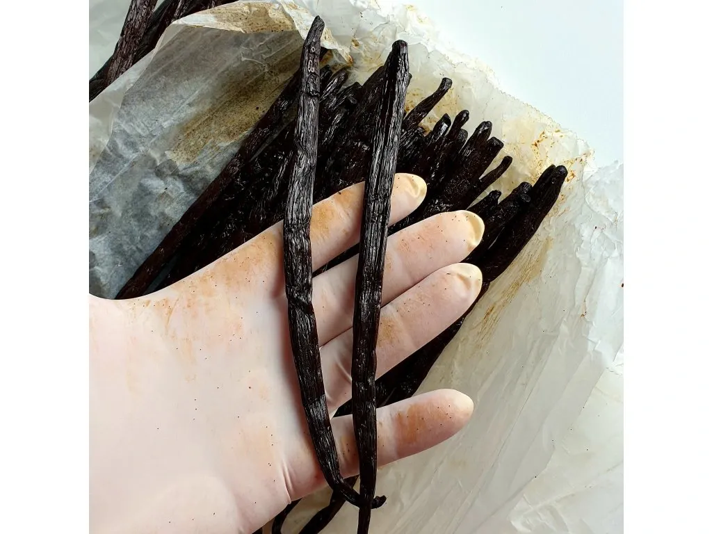 Jemná panna cotta s tonka fazuľkou a vanilkou