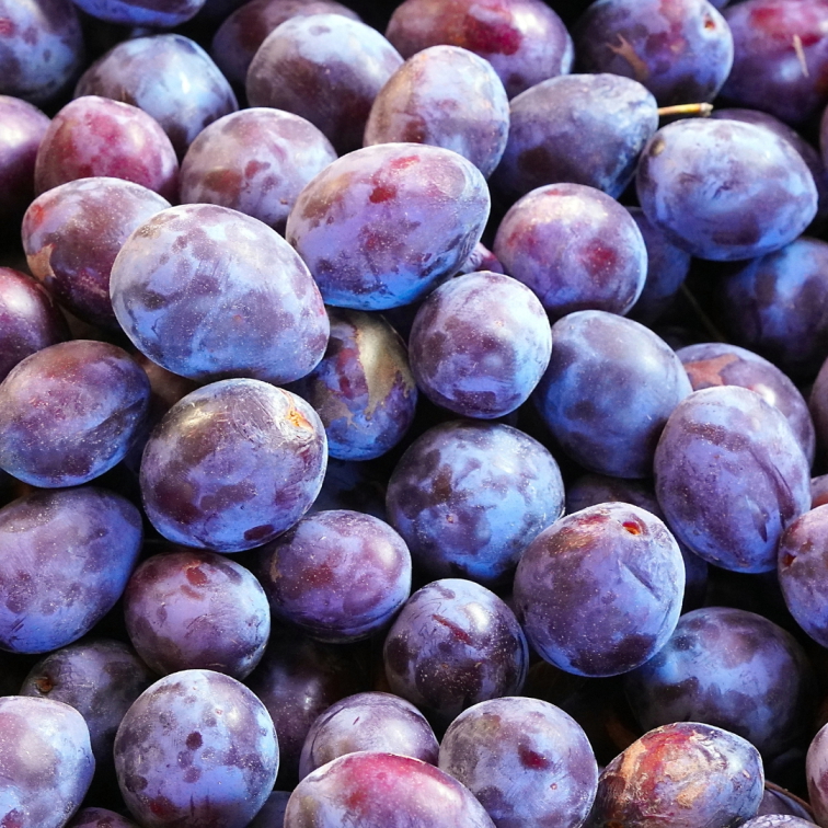 Zaváranie s YOGYM Marhule s iskrou, uhorky s dymom a slivky s tajomstvom