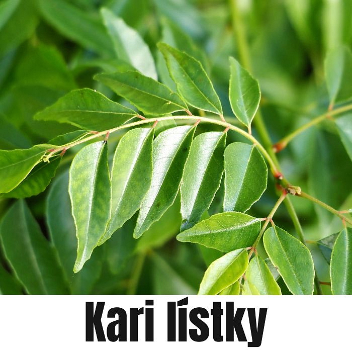 VADOUVAN KÉRALA INDIA