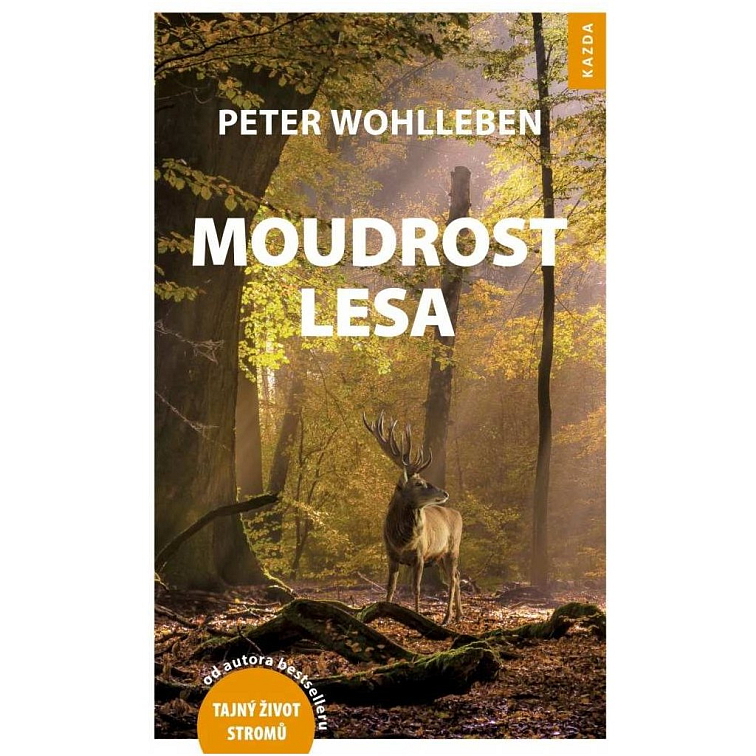 Moudrost lesa