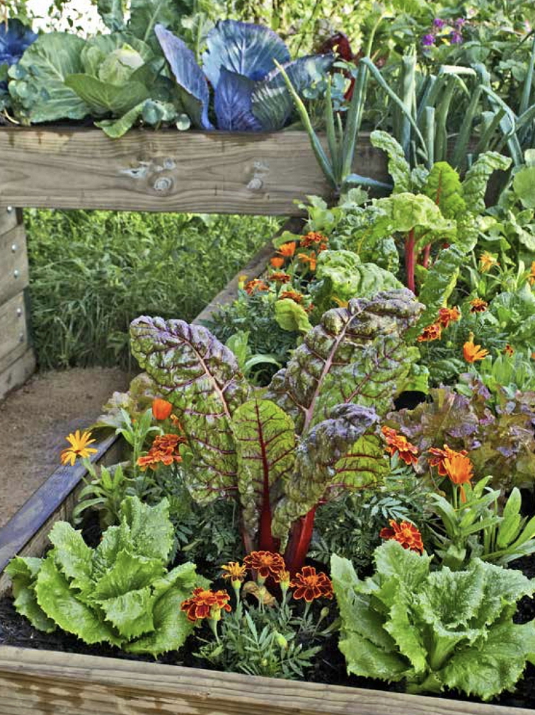 Jak na vyvýšené záhony