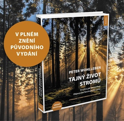 VÝPRAVNÁ VERZE - Tajný život stromů
