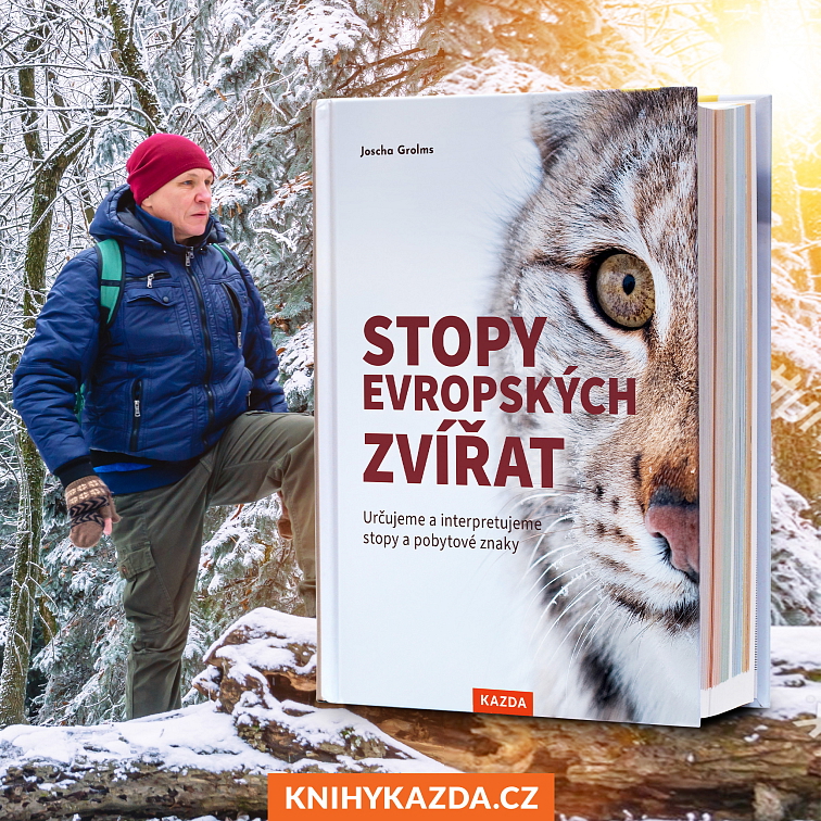 Stopy evropských zvířat