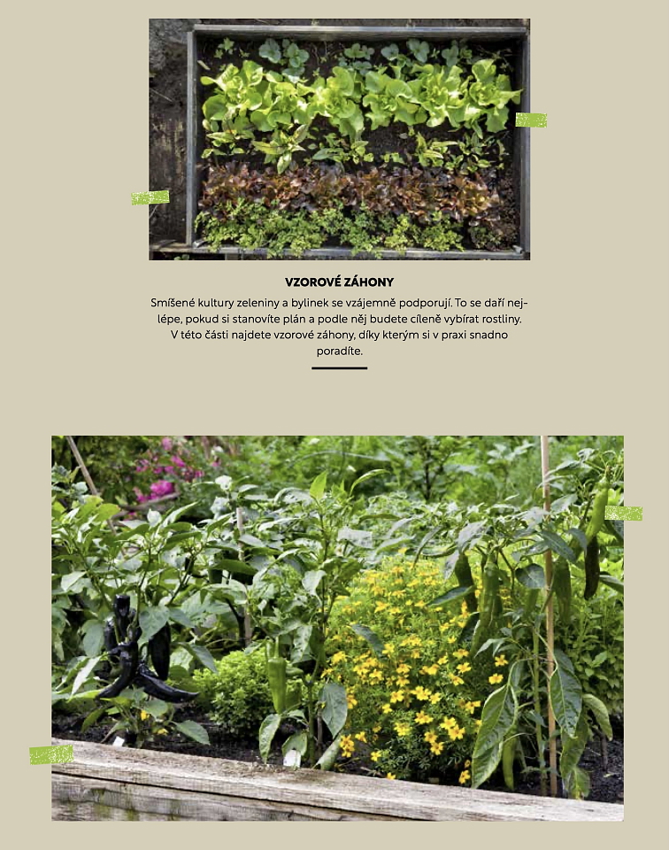 Jak na vyvýšené záhony