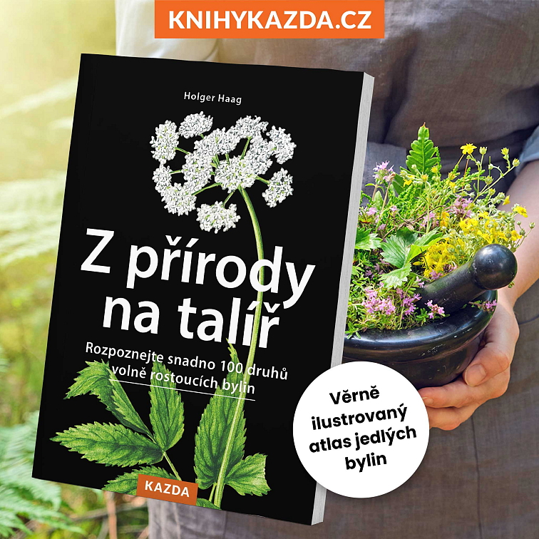Z přírody na talíř