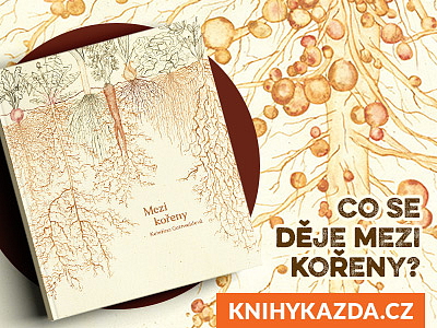 Knihy pro kutily a knihy o zahradě plné zajímavých projektů
