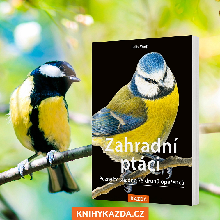Zahradni Ptaci () Zahradni Ptaci