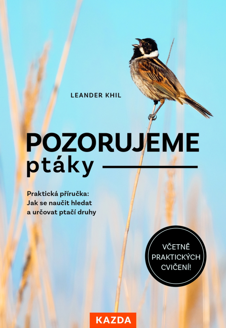 Pozorujeme ptáky