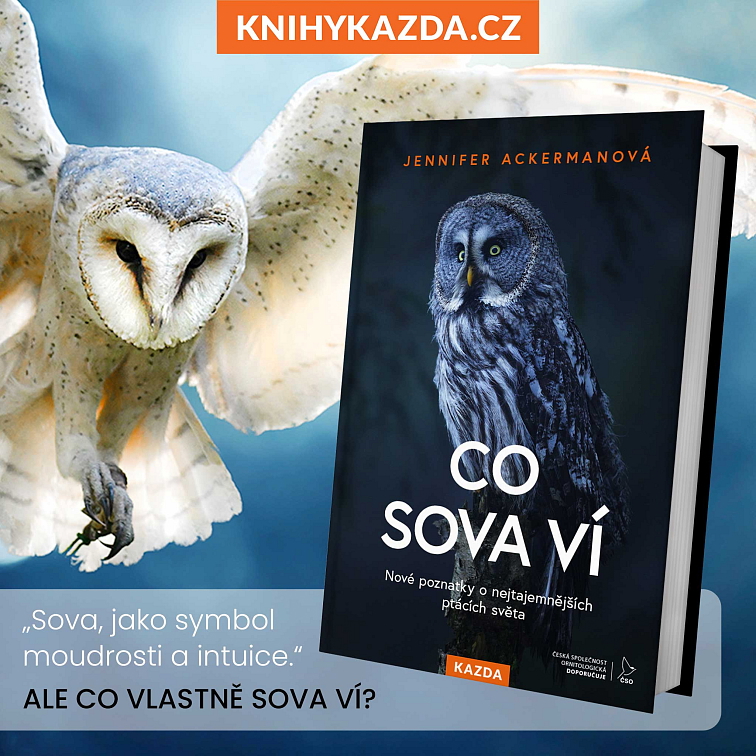 Co sova ví