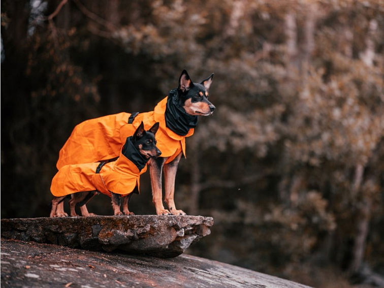 PAIKKA Reflexní regenerační pláštěnka ORANGE