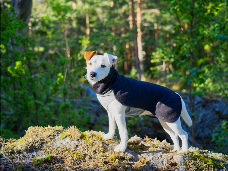 PAIKKA Regenerační zimní tričko GREY