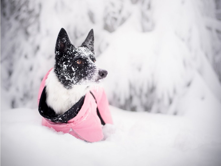 PAIKKA Reflexní regenerační zimní obleček PINK