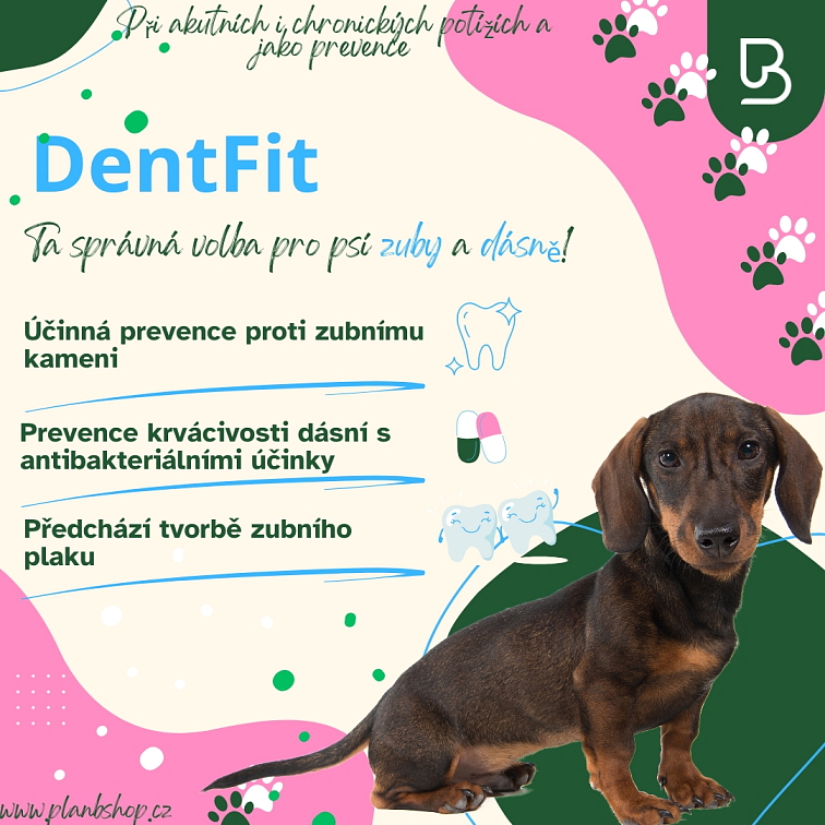 Plan B DentFit