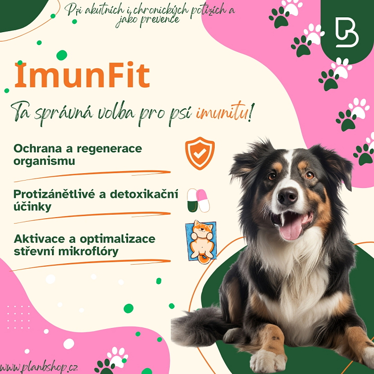 Plan B ImunFit