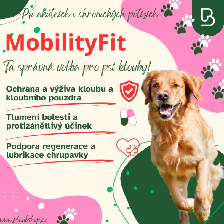 Plan B MobilityFit