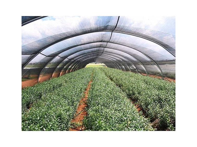 TIENIACA SIEŤ WELLHOX s 55% priehľadnosťou 1,2m x 10m