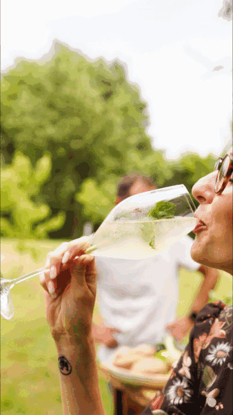 Limoneta | Mojito sirup 540 ml