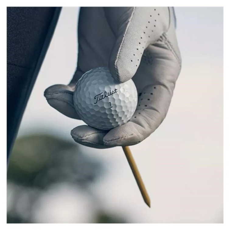 Titleist Pro V1 golfové míčky bílé 12 ks