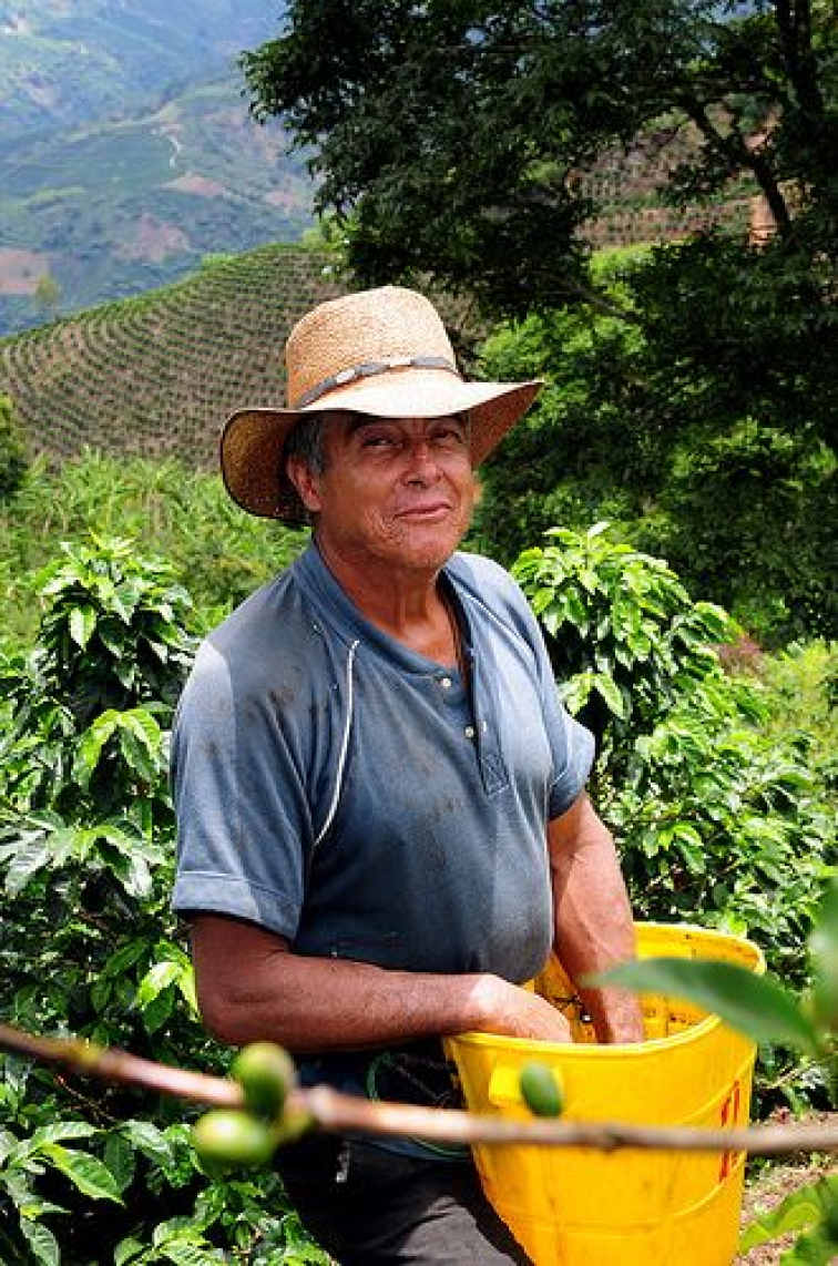 🇨🇴 KOLUMBIE: kafová legenda s lidskou tváří