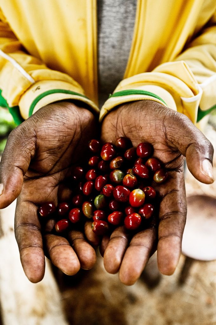 🇪🇹 ETIOPIE: kolébka kafe & země tisíců chutí