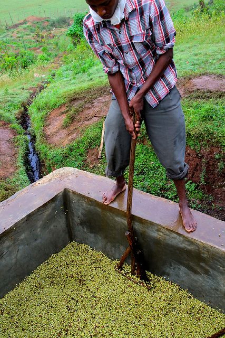 🇪🇹 ETIOPIE: kolébka kafe & země tisíců chutí