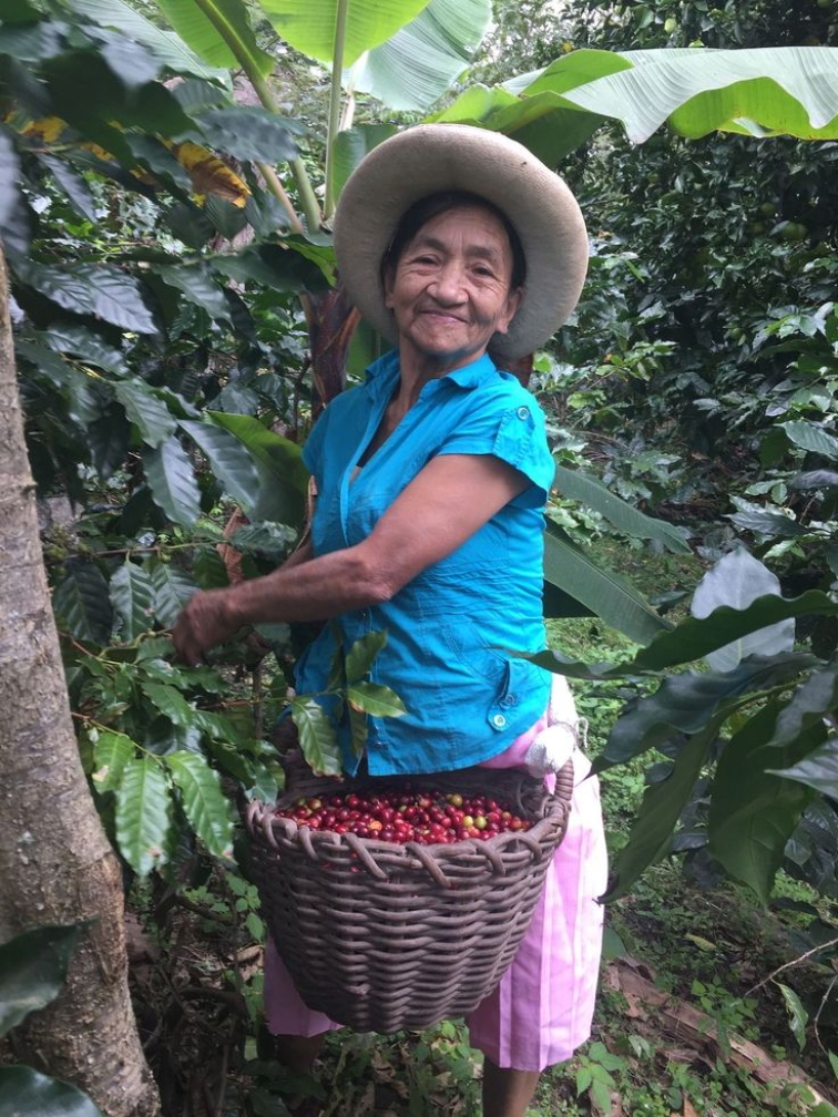 🇵🇪 PERU: andský kafe, který voní po pralese