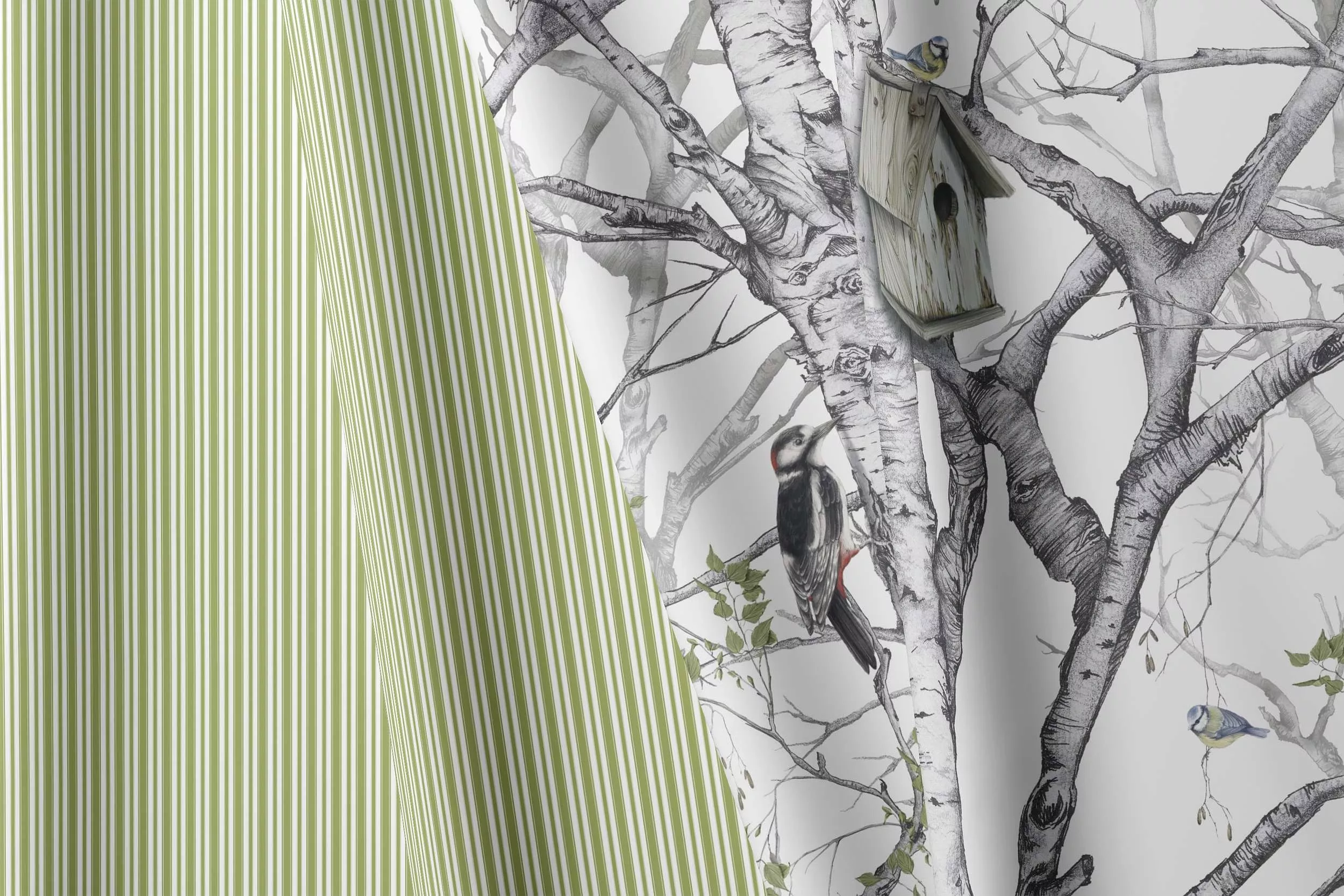 Pohánkový valček Lesný od Darré