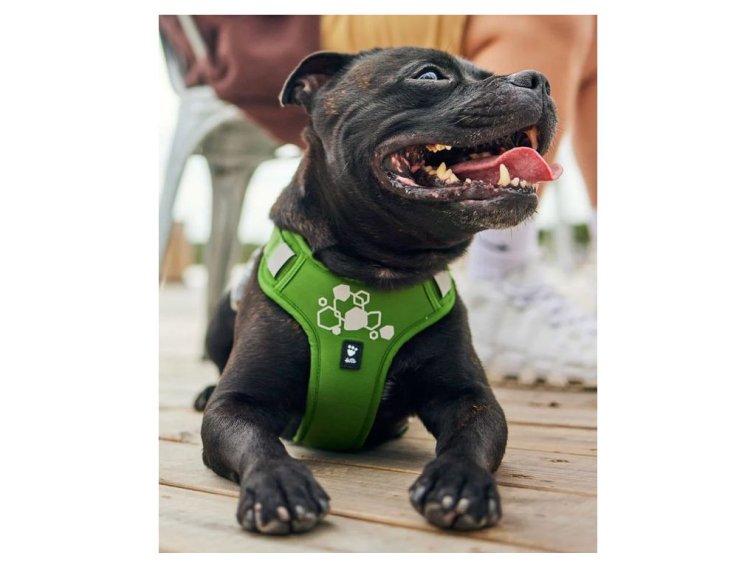 Postroj Hurtta Weekend Warrior II ECO pískový 55-70