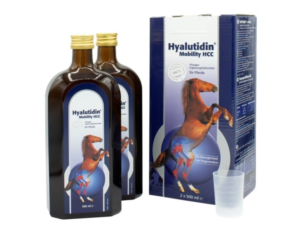 Hyalutidin Mobility HCC 2 x 500ml