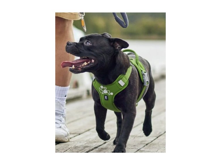 Postroj Hurtta Weekend Warrior II ECO pískový 55-70