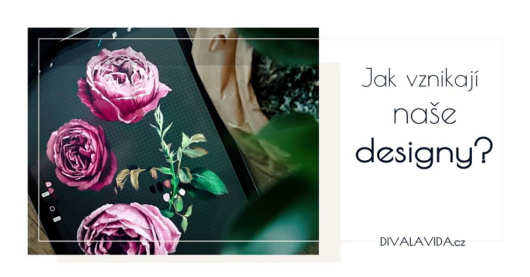 Stránka - O DIVA La VIDA (mise, vize, závazek)