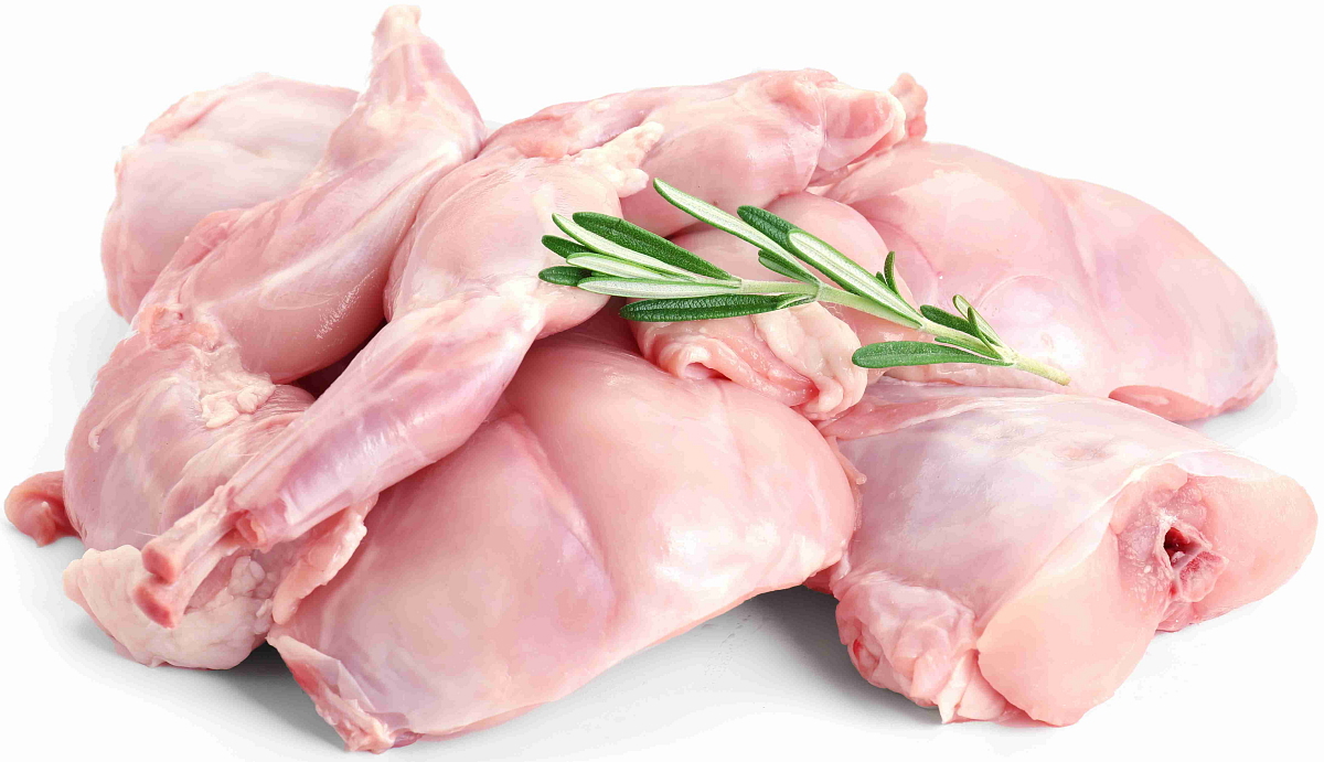 NÉ VETERINA - NORMAL