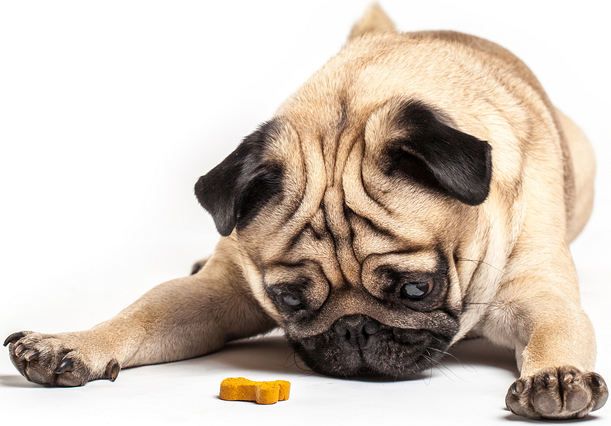 Brit Premium Dog by Nature