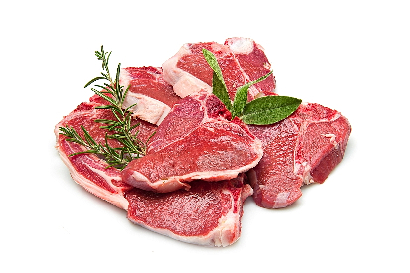 Brit Premium Dog by Nature