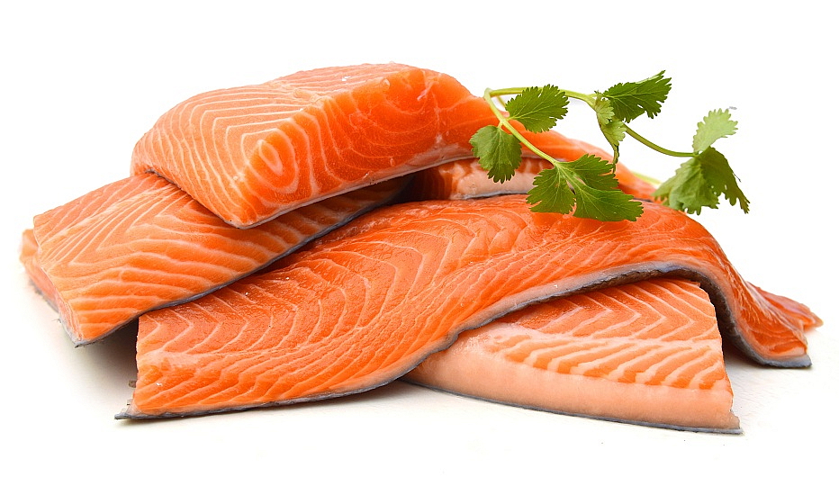 Brit Premium Dog by Nature