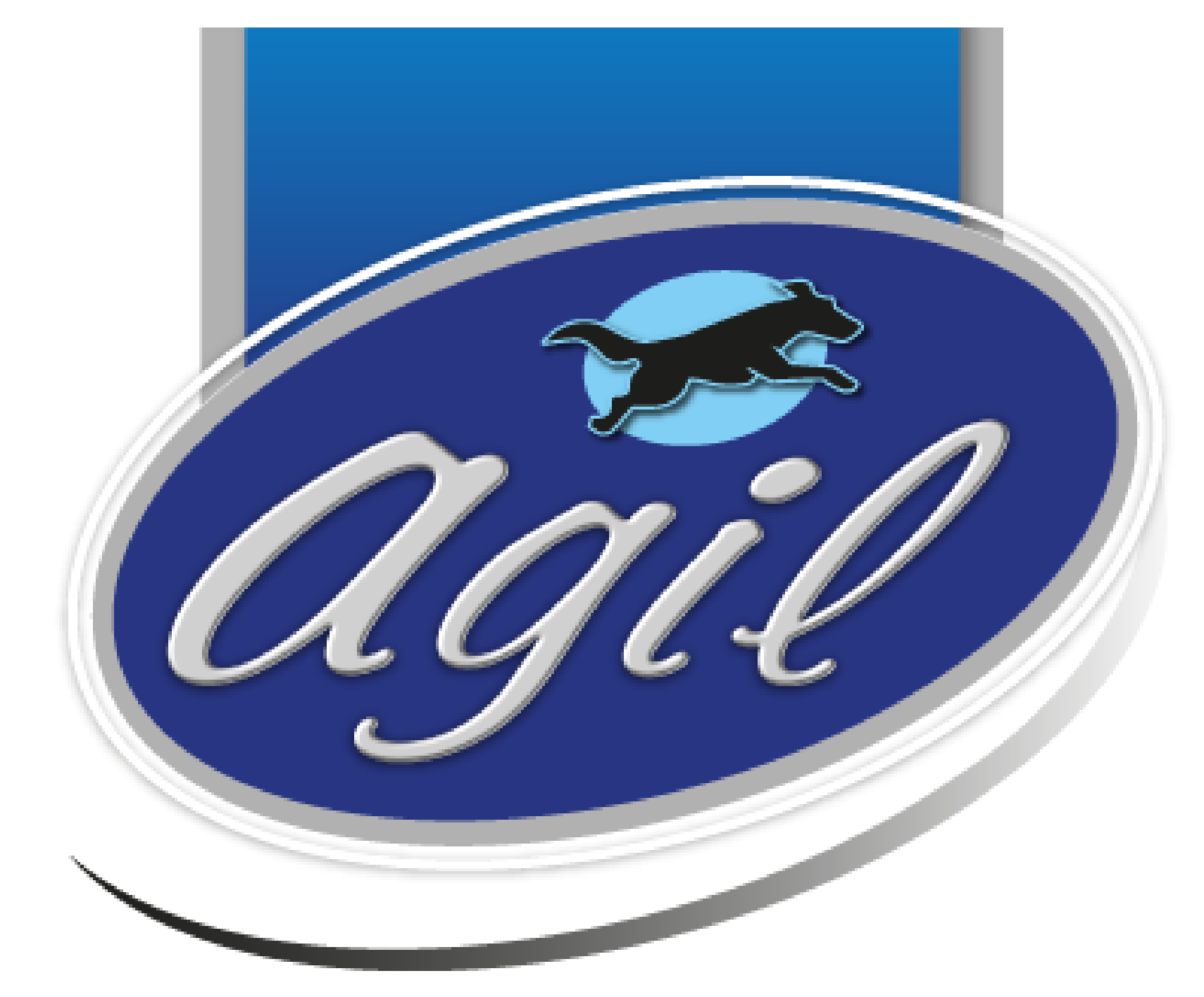 AGIL