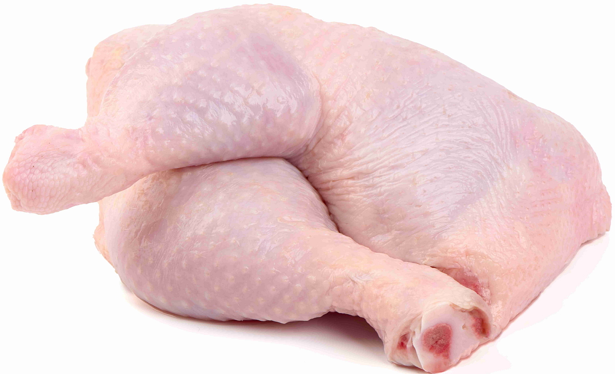 NÉ VETERINA - NORMAL