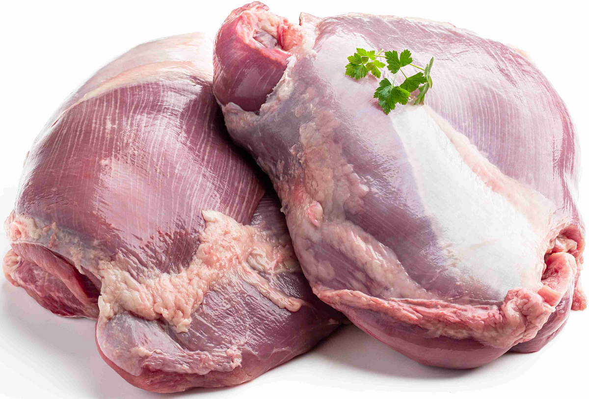 NÉ VETERINA - NORMAL