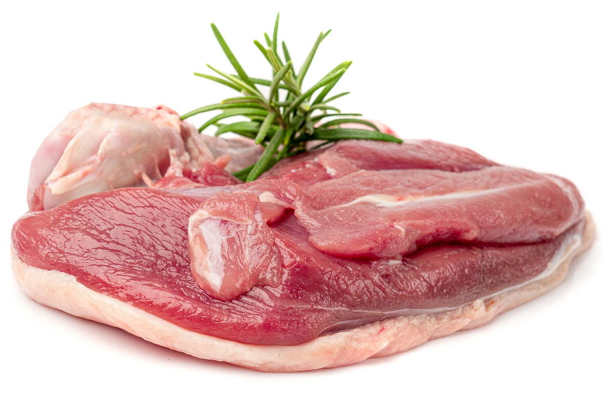 Brit Premium Dog by Nature