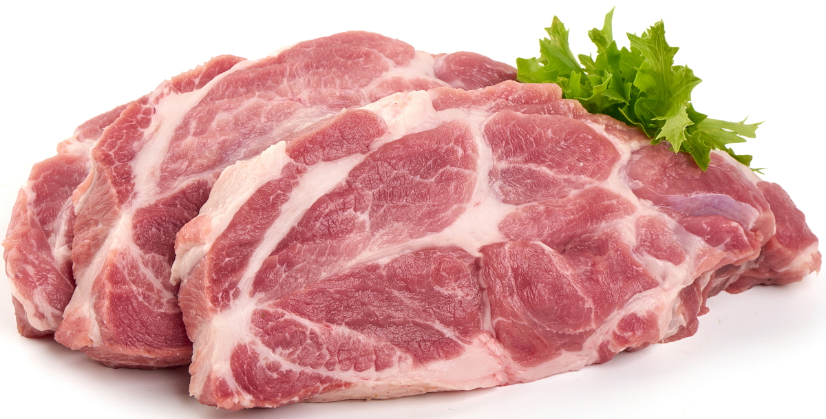 NÉ VETERINA - NORMAL SK