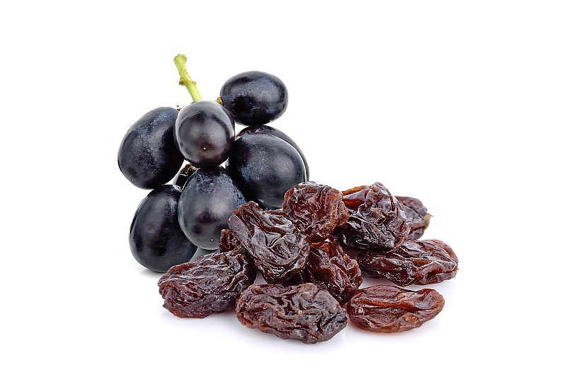 NEVHODNÉ AŽ NEBEZPEČNÉ POTRAVINY PRO PSY