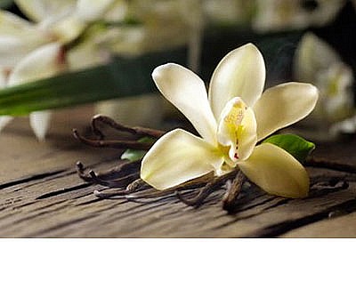 Malá sójová svíčka Vanilka & Muškátový oříšek