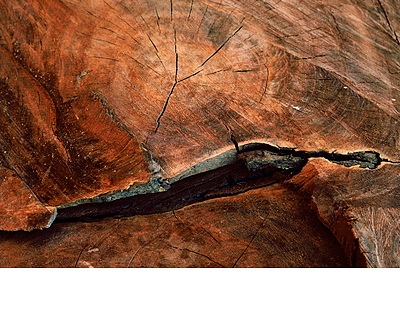 Sójová svíčka Kadidlo & Myrha (3 knoty)