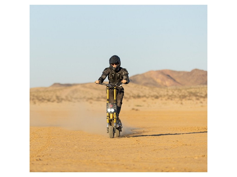 Kaabo Wolf King GTR Golden CZ EDITION