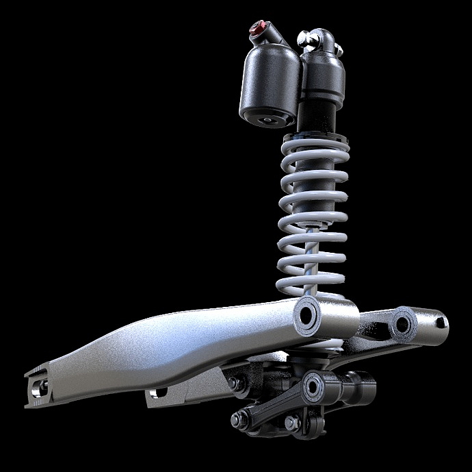 SUR RON STORM Bee 2024